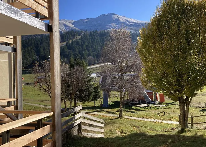 2 Pieces Griou 29 Le Lioran